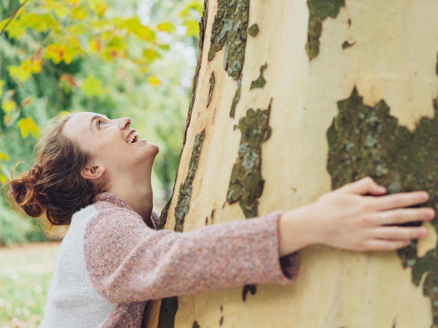 Tree Hugging Revival The Institute for Creation Research